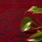 218-10.webp خرید قسطی | فرش وینتیج 218 لاکی سرمهای