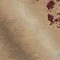 خرید قسطی |  فرش وینتیج 3007 کرم نسکافه‌ای شرابی