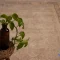 3065-10.webp خرید قسطی | فرش کناره وینتیج 3065 کرم نسکافهای