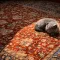 خرید قسطی |  فرش وینتیج 40203 لاکی حاشیه سرمه‌ای