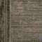 468-5-1.webp خرید قسطی | فرش کناره وینتیج 468 فیلی سبز