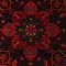 7041-3.webp خرید قسطی | فرش وینتیج 7041 لاکی سبز
