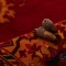 خرید قسطی |  فرش کلاسیک 717 روناسی
