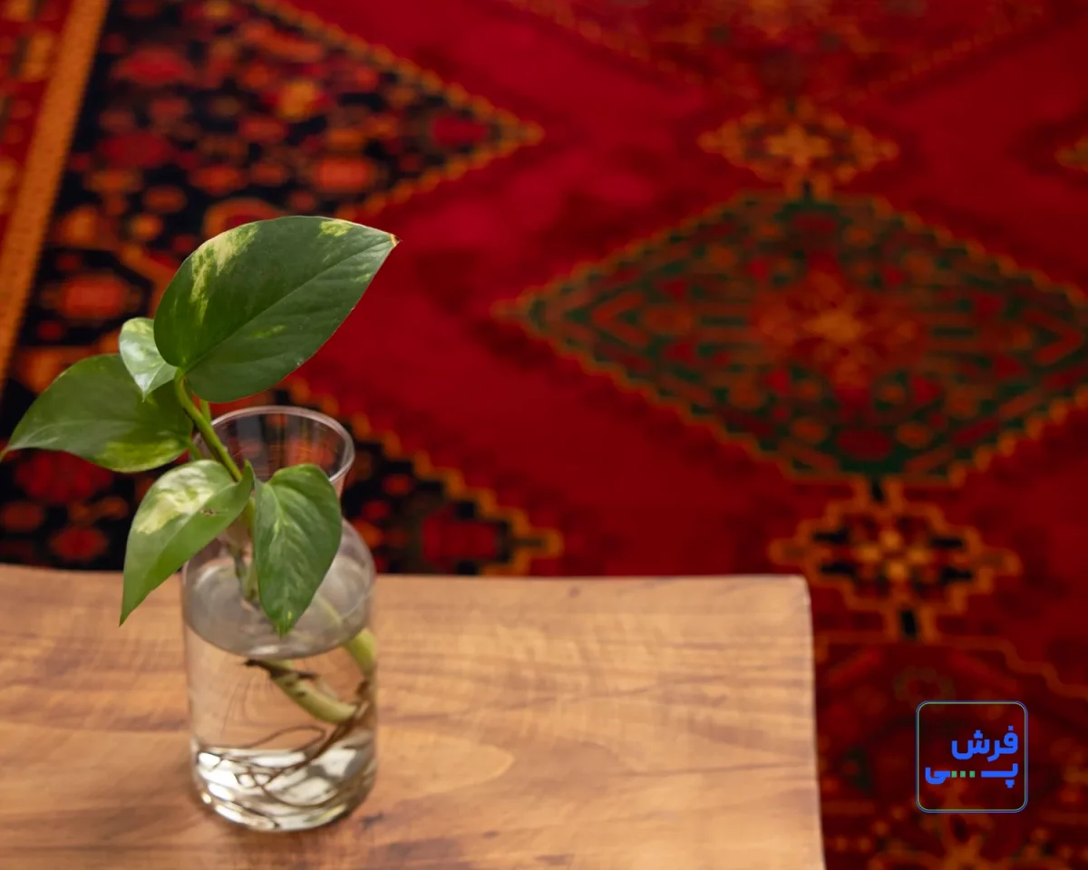 خرید قسطی |  فرش کلاسیک 719 روناسی