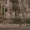 807-6-1.webp خرید قسطی | فرش کناره وینتیج 420 طوسی سبز
