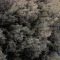 9077-4.webp خرید قسطی | فرش وینتیج 9077 طوسی ذغالی