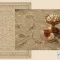 siran-sadafi-10.webp خرید قسطی | فرش کلاسیک سیران صدفی