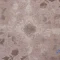خرید قسطی | فرش وینتیج 3085 کرم نسکافه ای