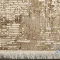 خرید اقساطی | فرش وینتیج 215 نسکافه ای