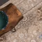 741322-7.webp خرید اقساطی | فرش وینتیج 741322 کرم بژ